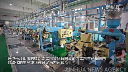 奮斗正當時 浙江信息技術咨詢服務企業新春開工忙，蓄力數字新程